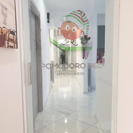 Pomodoro Bed Bed & Breakfast Castrovillari Dış mekan fotoğraf